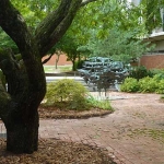 davis-courtyard