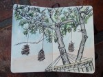 hammock_sketch